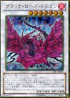 GS05-JP009 GSE ブラック・ローズ・ドラゴン