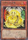  INFO-JP019 R 幻禄の天盃龍 