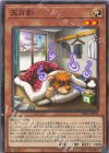  INFO-JP031 NR 五月豹 