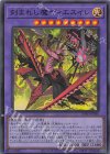  INFO-JP036 SR 刻まれし魔ディエスイレ 