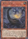  LEDE-JP013 R 蕾禍ノ毬首 