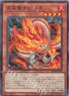  LEDE-JP018 N 天盃龍チュンドラ 