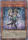  LEDE-JP029 QCSE 幻惑の見習い魔術師 