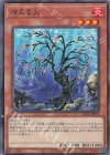  LEDE-JP033 NR 冷える火 