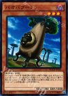  MACR-JP034 N バオバブーン 