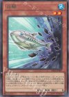  PHNI-JP007 R 白鰯 
