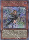  PHNI-JP022 QCSE アロマリリス-ロザリーナ 