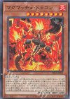  PHNI-JP025 N マグマッチョ・ドラゴン 