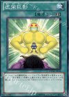  PHSW-JP046 N 虚栄巨影 