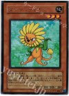 VJC-JP013 UR ダンディライオン
