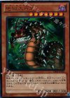 VJMP-JP082 UR 地獄大百足