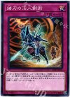 17TP-JP314 N 諸刃の活人剣術