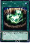  17TP-JP408 N 孵化 