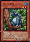 JF10-JP002 N ラッコアラ