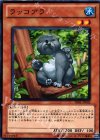 PR01-JP002 N ラッコアラ