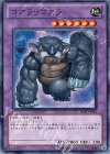  PR01-JP010 N コアラッコアラ 