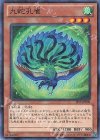 JF13-JPB08 P-N 九蛇孔雀