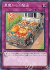 YCPC-JP003 N 農園からの配送