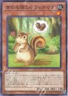  25PR-JP002 P-N きのみ隠しのうっかりす 