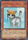  QCAC-JP006 SR レスキューキャット 