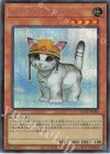  QCAC-JP006 SE レスキューキャット 