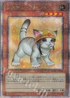  QCAC-JP006 QCSE レスキューキャット(イラスト違い版) 