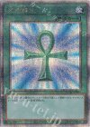  QCAC-JP023 QCSE 死者蘇生 