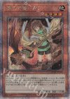  QCAC-JP043 QCSE 憑依装着-アウス(イラスト違い版) 