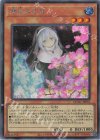  QCAC-JP052 SE 儚無みずき(イラスト違い版) 