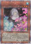  QCAC-JP052 QCSE 儚無みずき(イラスト違い版) 