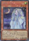  QCAC-JP053 SE 朔夜しぐれ 