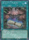  QCCP-JP087 SE 地獄門の契約書 