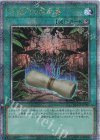  QCCP-JP087 QCSE 地獄門の契約書 