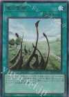  QCCP-JP194 UR 竜の霊廟 