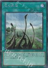  QCCP-JP194 SE 竜の霊廟 