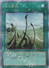  QCCP-JP194 QCSE 竜の霊廟 