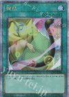  QCCU-JP056 QCSE 調律 