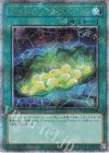 QCCU-JP109 QCSE サイバネット・マイニング