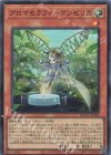  QCCU-JP162 SR アロマセラフィ-アンゼリカ 