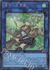  QCCU-JP188 SE 蒼翠の風霊使いウィン 