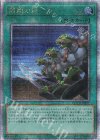  QCCU-JP197 QCSE 同胞の絆 