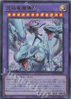  QCDB-JP001 UR 究極竜魔導師 