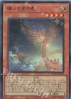  QCDB-JP003 UR 輝ける星の竜 