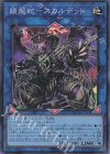  QCDB-JP044 SR 鎖龍蛇-スカルデット 