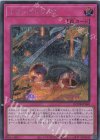  QCDB-JP060 SE トラップトラック 