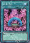 RDS-JP048 N 邪気退散