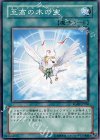 RGBT-JP060 NR 至高の木の実
