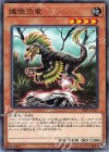  RIRA-JP033 N 縄張恐竜 