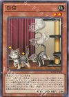  ROTA-JP026 N 回猫 