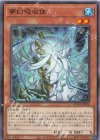  ROTA-JP028 N 夢幻吸収体 